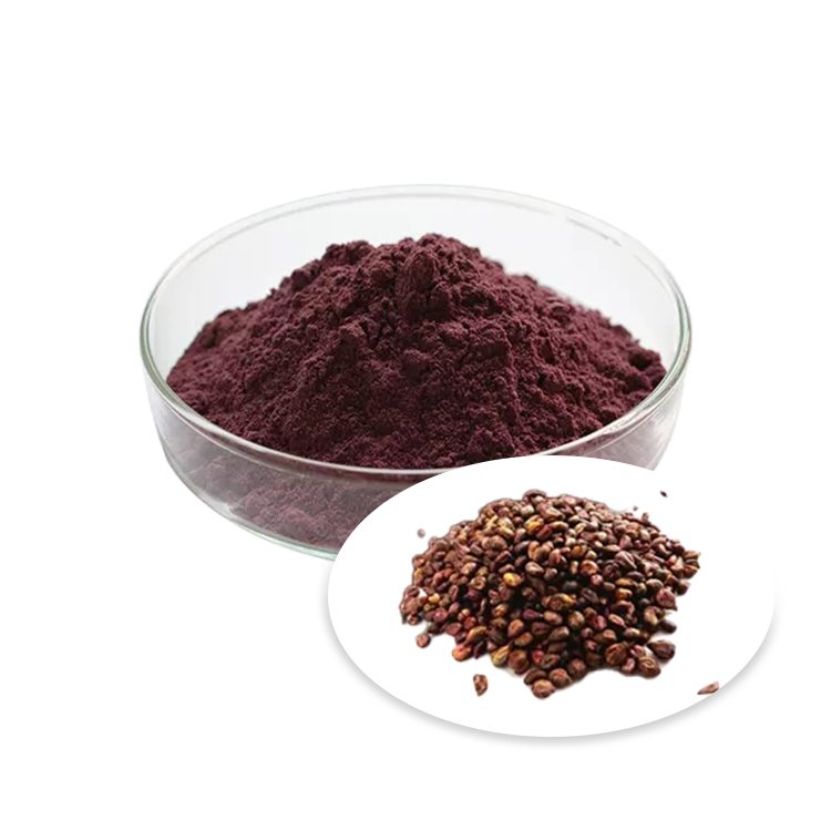 Grape Seed Extract