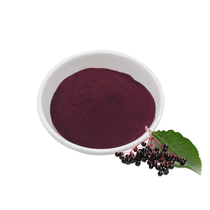 Elderberry Extract P