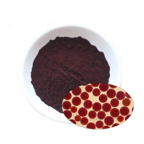 Haematococcus Pluvia